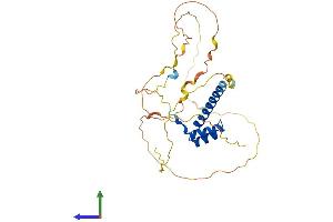 Protein Structure (PS) image for Caudal Type Homeobox 2 (CDX2) (AA 1-311) protein (His tag) (ABIN7563258)