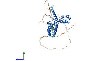 Protein Structure (PS) image for SWI/SNF Related, Matrix Associated, Actin Dependent Regulator of Chromatin, Subfamily D, Member 2 (SMARCD2) (AA 1-531) protein (His tag) (ABIN7560318)
