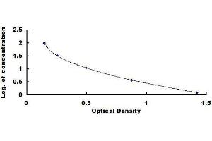 ELISA image for Peptide YY (PYY) ELISA Kit (ABIN1029499)