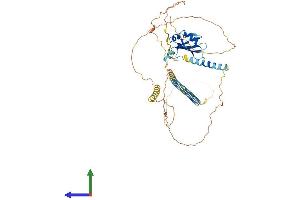 AlphaFold protein structure predicition of Mouse Recombinant Srek1 Protein, UniprotID Q8BZX4 (SFRS12 Protein (AA 1-494) (His tag))