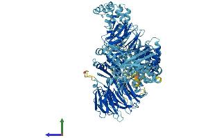 Protein Structure (PS) image for Apoptotic Peptidase Activating Factor 1 (APAF1) (AA 1-1248) protein (His tag) (ABIN7552258)
