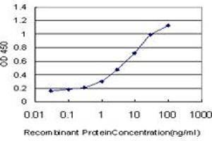 Detection limit for recombinant GST tagged KCNQ4 is approximately 1ng/ml as a capture antibody. (KCNQ4 抗体  (AA 596-695))