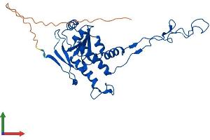 Protein Structure (PS) image for Mitochondrial Ribosomal Protein L4 (MRPL4) (AA 1-294) protein (His tag) (ABIN7561358)