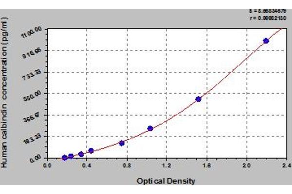 CALB1 ELISA 试剂盒