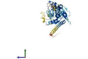 AlphaFold protein structure predicition of Human Recombinant GTPBP10 Protein, UniprotID A4D1E9