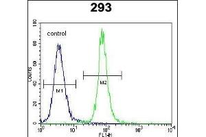SOX2 Antibody f flow cytometric analysis of 293 cells (right histogram) compared to a negative control cell (left histogram). (SOX2 抗体)