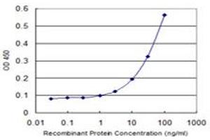 Detection limit for recombinant GST tagged SV2C is 1 ng/ml as a capture antibody. (SV2C 抗体  (AA 2-101))