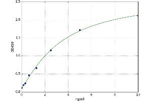 A typical standard curve (HACE1 ELISA 试剂盒)