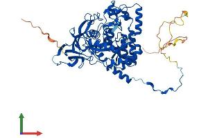 Protein Structure (PS) image for Collapsin Response Mediator Protein 1 (CRMP1) (AA 1-572) protein (His tag) (ABIN7547191)
