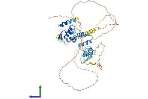 Protein Structure (PS) image for Zinc Finger and BTB Domain Containing 8A (ZBTB8A) (AA 1-441) protein (His tag) (ABIN7545526)