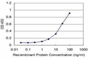 Detection limit for recombinant GST tagged RAB43 is approximately 1ng/ml as a capture antibody. (RAB43 抗体  (AA 113-210))