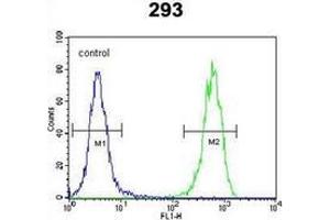 Flow cytometric analysis of 293 cells using PTK9L (arrow) using PTK9L Antibody (N-term) Cat. (TWF2 抗体  (N-Term))