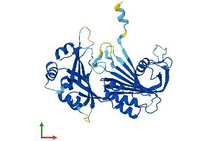 Protein Structure (PS) image for Ribonuclease P/MRP 40kDa Subunit (RPP40) (AA 1-363) protein (His tag) (ABIN7559667)