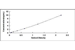 Typical standard curve (HNRNPA2B1 ELISA 试剂盒)