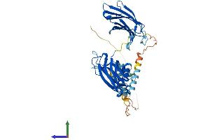 Protein Structure (PS) image for Synaptotagmin I (SYT1) (AA 1-421) protein (His tag) (ABIN7563271)