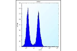 Flow Cytometry (FACS) image for anti-Family with Sequence Similarity 8, Member A1 (FAM8A1) (AA 87-115), (N-Term) antibody (ABIN656718)