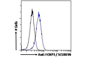 Flow Cytometry (FACS) image for anti-Forkhead Box P3 (FOXP3) (C-Term) antibody (ABIN184677)
