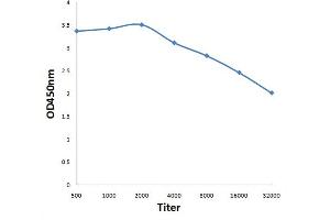 Antigen: 0. (UBE2G2 抗体  (AA 100-165))