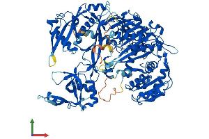 AlphaFold protein structure predicition of Human Recombinant AGO4 Protein, UniprotID Q9HCK5