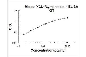 Chemokine (C Motif) Ligand 1 (XCL1) ELISA Kit