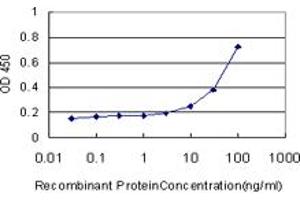 Detection limit for recombinant GST tagged CAMK2A is approximately 3ng/ml as a capture antibody. (CAMK2A 抗体  (AA 305-410))
