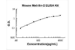 Matrilin 2 (MATN2) ELISA Kit