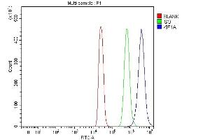 Flow Cytometry analysis of 293T cells using anti-KIF1A antibody (ABIN7599679).