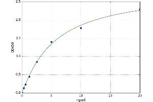 A typical standard curve