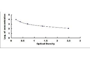 Typical standard curve (Kallikrein 6 ELISA 试剂盒)