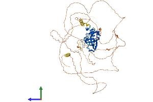 AlphaFold protein structure predicition of Human Recombinant TBX3 Protein, UniprotID O15119