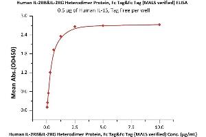 Immobilized Human IL-15, Tag Free (ABIN6386427,ABIN6388244) at 5 μg/mL (100 μL/well) can bind Human IL-2RB&IL-2RG Heterodimer Protein, Fc Tag&Fc Tag (MALS verified) (ABIN6973117) with a linear range of 0.