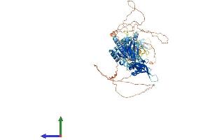AlphaFold protein structure predicition of Mouse Recombinant Cnnm1 Protein, UniprotID Q0GA42