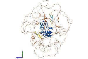 Protein Structure (PS) image for Mitogen-Activated Protein Kinase Kinase Kinase 19 (MAP3K19) (AA 1-1328) protein (His tag) (ABIN7554456)