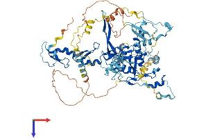 FBXO40 Protein (AA 1-710) (His tag)
