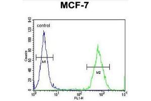 GPD1L Antibody (N-term) flow cytometric analysis of MCF-7 cells (right histogram) compared to a negative control cell (left histogram). (GPD1L 抗体  (N-Term))