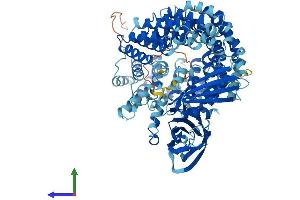 Protein Structure (PS) image for Coatomer Protein Complex, Subunit gamma (COPG) (AA 1-874) protein (His tag) (ABIN7565166)