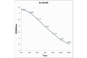 Antigen: 0. (Krv-Vp1/Krv-Vp2 (AA 501-582) 抗体)