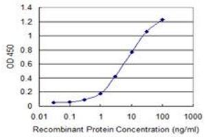 Detection limit for recombinant GST tagged DPYSL5 is 0. (DPYSL5 抗体  (AA 466-564))