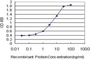 Detection limit for recombinant GST tagged NANOG is approximately 0. (Nanog 抗体  (AA 98-195))