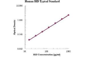 BH3 Interacting Domain Death Agonist (BID) ELISA Kit