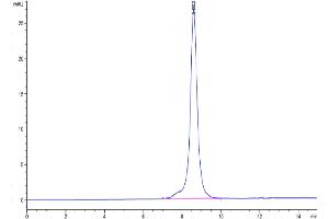Size-exclusion chromatography-High Pressure Liquid Chromatography (SEC-HPLC) image for CD36 (CD36) (AA 30-439) protein (His-Avi Tag,Biotin) (ABIN7274163)