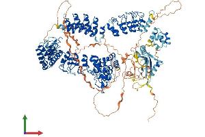 Protein Structure (PS) image for Tankyrase, TRF1-Interacting Ankyrin-Related ADP-Ribose Polymerase (TNKS) (AA 1-1320) protein (His tag) (ABIN7564126)