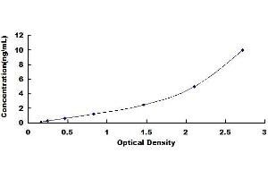 Typical standard curve (SCG3 ELISA 试剂盒)