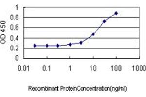 Detection limit for recombinant GST tagged PRKD2 is approximately 1ng/ml as a capture antibody. (PKD2 抗体  (AA 1-110))