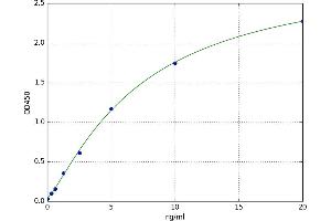 A typical standard curve (CD81 ELISA 试剂盒)