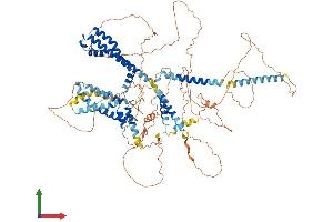 AlphaFold protein structure predicition of Mouse Recombinant Kcnq5 Protein, UniprotID Q9JK45 (KCNQ5 Protein (AA 1-933) (His tag))
