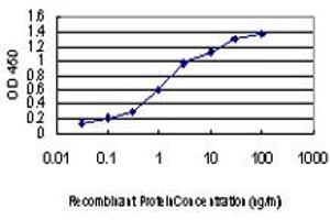 Detection limit for recombinant GST tagged MAP2K3 is approximately 0. (MAP2K3 抗体  (AA 1-100))