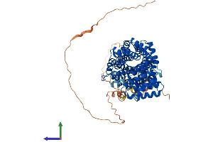 Protein Structure (PS) image for Tetratricopeptide Repeat Domain 39B (TTC39B) (AA 1-682) protein (His tag) (ABIN7544905)