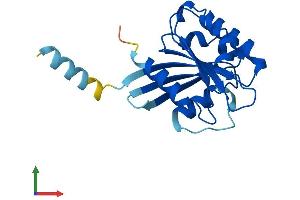 Protein Structure (PS) image for ADP-Ribosylation Factor-Like 8B (ARL8B) (AA 1-186) protein (His tag) (ABIN7552387)