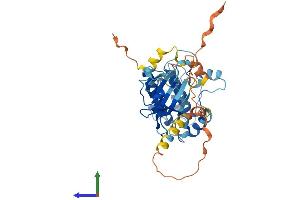 Protein Structure (PS) image for Calcium/calmodulin-Dependent Protein Kinase I (CAMK1) (AA 1-370) protein (His tag) (ABIN7554283)